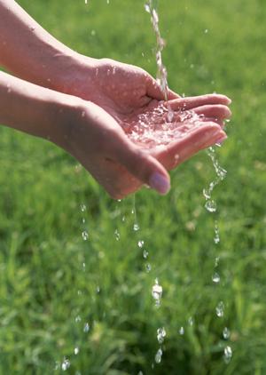 信州そば粉の通販サイトで購入する