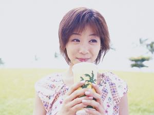 大阪のお好み焼き専門店「ぼてぢゅう」グループの魅力と展望