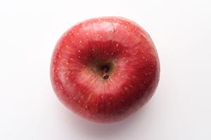 梅田阪神のシェイクシャック: 大阪の新たなグルメスポット