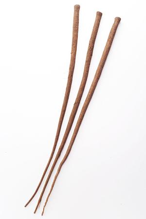 伝説のすた丼屋 大宮東口店｜ボリューム満点のスタミナ丼と絶品メニューを堪能できる人気店