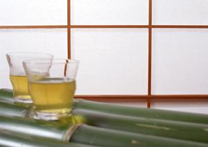 東京ドームのシェイクシャック – スポーツ観戦と美味しさの両立