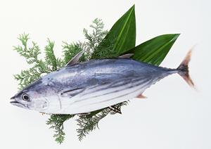 水道橋の焼肉と盛岡冷麺の店三宝について