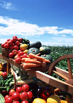 渋谷のシェイクシャック：ユニークなハンバーガー体験の発信地