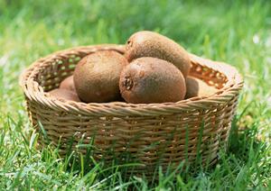 渋谷で楽しむ極上焼肉！和牛の魅力とこだわりのお店ガイド