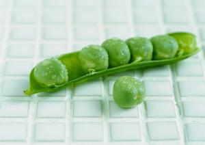 さらなる未来へ繋ぐへぎそばの魅力