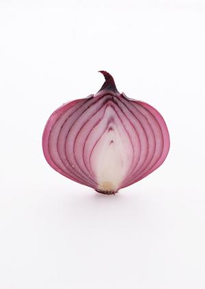 秋葉原のコンカフェ完全ガイド：最新トレンドと選び方、楽しみ方まで徹底解説