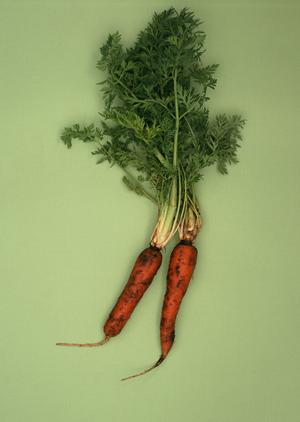 東京都の老舗和菓子店のこだわりの素材